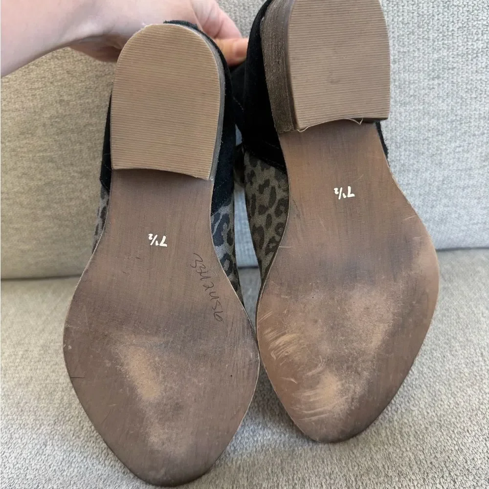 Diba stylish trendy